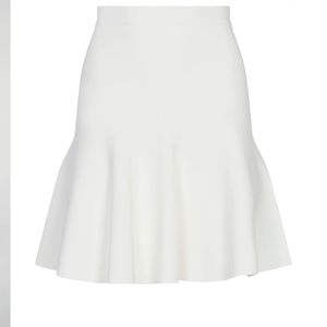 BCBG Ingrid A Line skirt